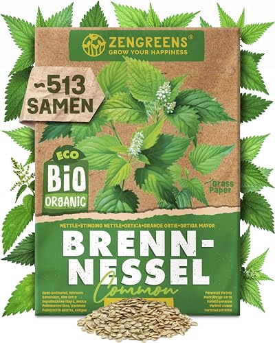 ZenGreens - Bio Brennnessel Samen (Common) - Brennnesselsamen - Kräutersamen für den einfachen Anbau im Garten Balkon oder Küche - Kräuter Saatgut ideal für Anfänger