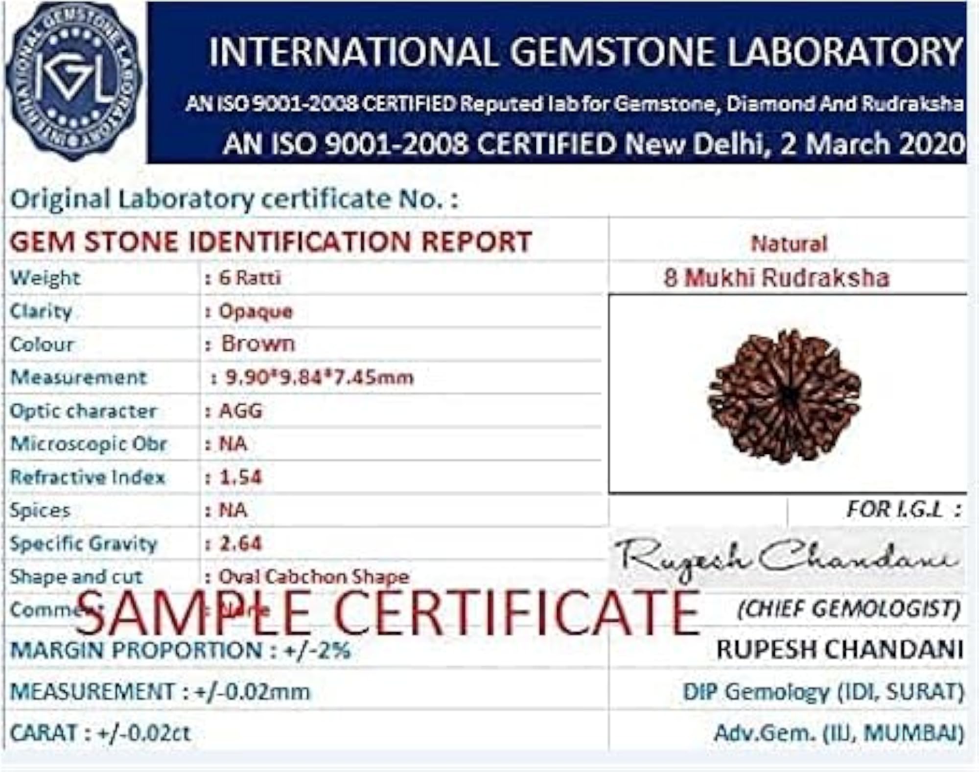 Genuine Eight Face Rudraksha Nepali Beads, IGL Lab Certified