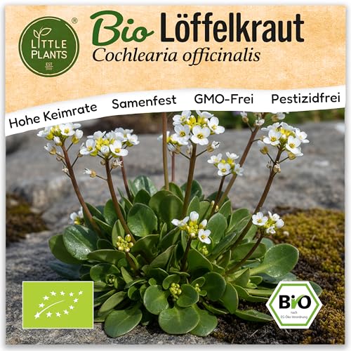 Little Plants BIO Löffelkraut Samen 500 Löffelkrautsamen Löffelkraut Kräutersamen...