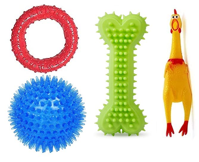 Woofy Squeaky Chewable Teether Toys for Dog & Puppy - Squeaky Pokemon, Multicolored Ring, Squeaky Chicken, Ringing Bone (Pack of 4) Multicolor (B0B1QR299Y) Amazon Price History, Amazon Price Tracker