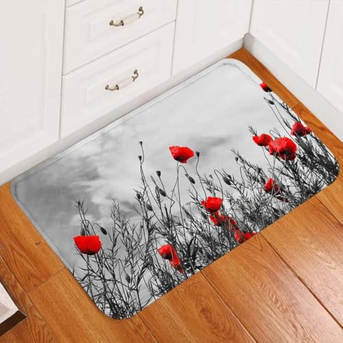 ���փ}�b�g ���b�h�o�b�h �����h�A�}�b�g 50×80cm doormat Red Buds B&W Door Mat