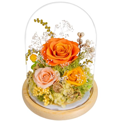 Bouquet de roses fraîches préservées en dôme de verre pour la Saint-Valentin
