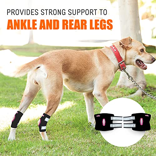 Neoally - Short Rear Leg Hock Brace, Dog Leg Brace For Rear Leg, Hock & Ankle Support, Dog Brace For Torn Acl & Ccl, Dog Leg Sleeve With Reflective Straps, Extra Small, Pink, 1 Pair #TOP5