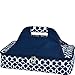 Picnic at Ascot Insulated Casserole Carrier to keep Food Hot or Cold- Trellis Blue