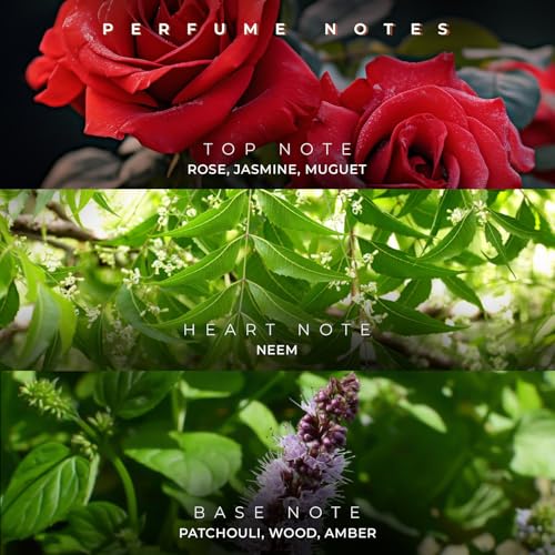 Image of French Factor Soul Bliss Luxury Perfume For Women Long Lasting Eau De Parfum Fruity And Floral Scent Valentine Gift For Girls Made in India (Pack of 1, 100ml)