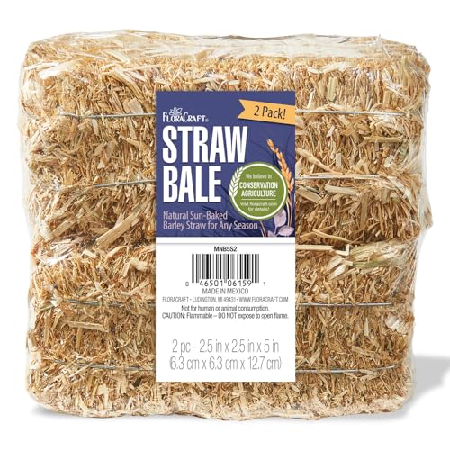 FloraCraft Decorative Straw Bale 2 Piece 2.5 Inch x 2.5 Inch x 5 Inch Natural