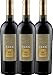 Produktbild VINELLO 3er Weinpaket Rotwein - TANK No 11 Syrah Appassimento 2019 - Cantine Minini mit einem VINELLO.weinausgießer | halbtrockener Rotwein | italienischer Wein aus Sizilien | 3 x 0,75 Liter