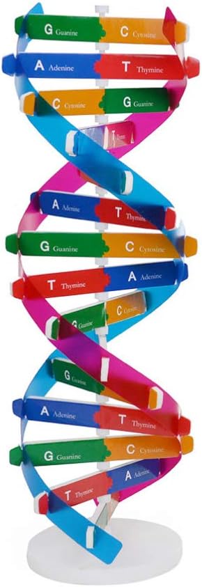 kit dna per bambini