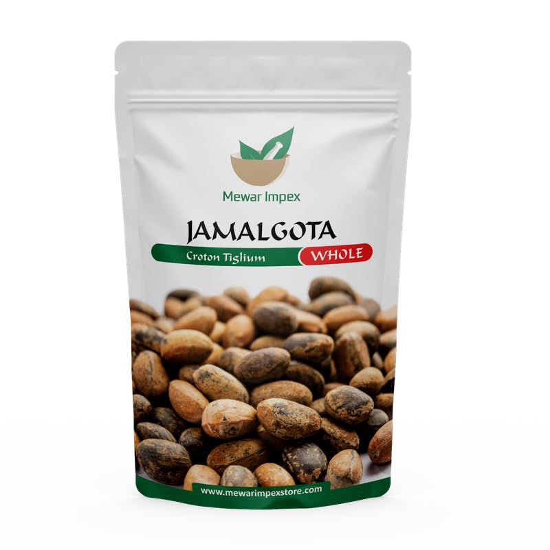 Mewar Impex Jamalgota Seed - 200 gm|Croton Seed|Croton Tiglium Seed|Jamalghota Seed | Jamal Gota Seed Whole