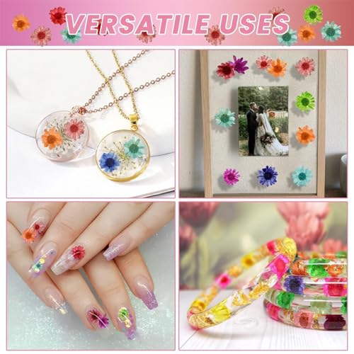 800 PCS Mini Flores Secas para Resina para Manualidades miniatura 2