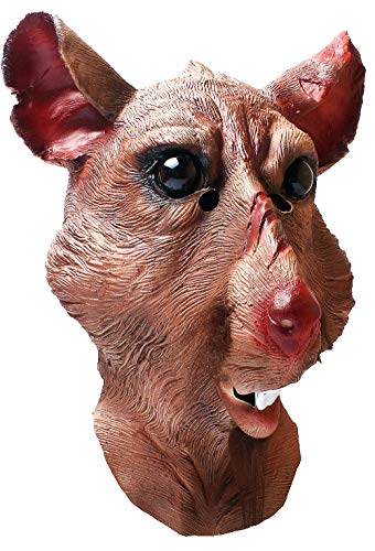 Photo complémentaire