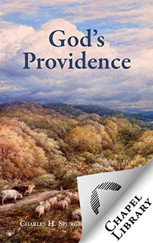 God's Providence (English Edition)