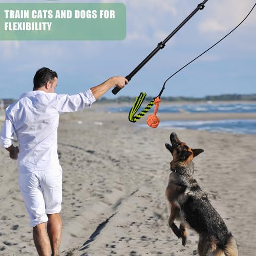 Reizangel Hunde Große Hunde, Profi Reizangel für Hundes längenverstellbar 124cm für Längenverstellbar mit 2 Seil Spielzeug, Hundespielzeug Ausziehbar aus Aluminiumlegierung Für Mittlere & Große