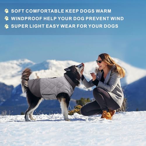 Idepet Winddichter Hundemantel Winter Warme Jacke,Anti-Schneeanzug Hundebekleidung für kleine mittelgroße Hunde mit Geschirrloch Blau Rosa Grau