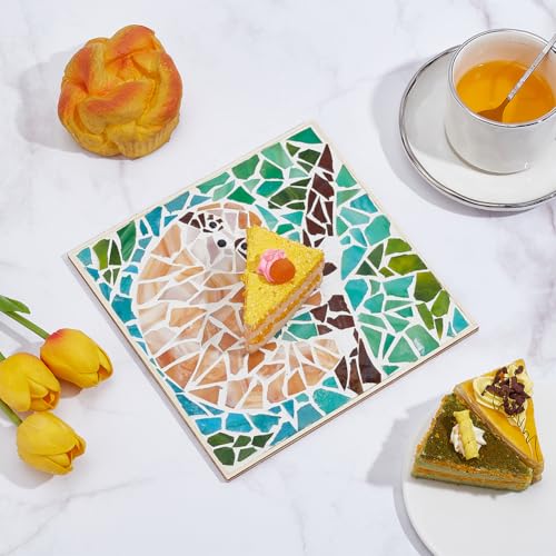 Kit de mosaïque débutant WEBEEDY avec instructions pour réussir sans stress
