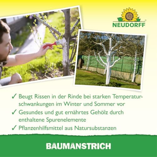 Neudorff Baumanstrich – Anwendungsfertiger Kalkanstrich zum natürlichen Weißen und Pflegen von Obstbäumen und Beerensträuchern, 2 Liter – Ansicht 4