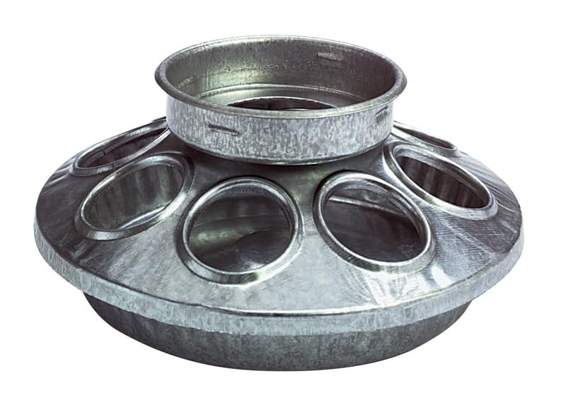 Little Giant Farm & Ag 9810 Mason Jar Feeder Base