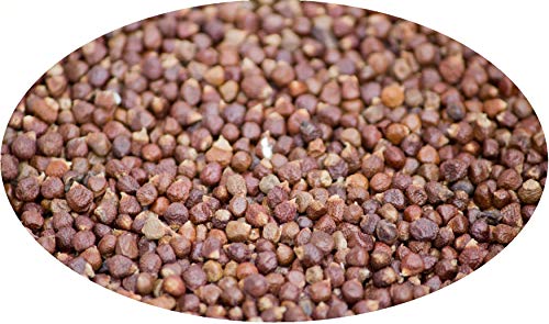 Graines de Paradis pour sublimer vos recettes de grands chefs - Épice maniguette 250g