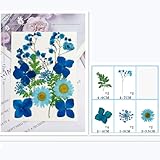 Zoom IMG-2 fiori secchi per resina 72 Zoom IMG-2 fiori secchi per resina 72