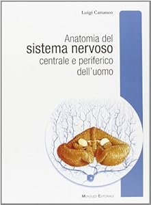 Vedi scheda su Amazon Anatomia del sistema nervoso centrale e periferico dell'uomo