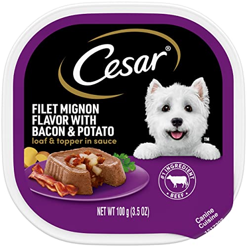 Feed your fur baby like royalty with these top 10 Cesar Filet Mignon