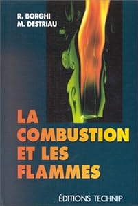 Livres Couvertures de La combustion et les flammes