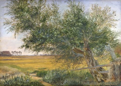 Affiche le vieil arbre de Jacob Gensler pour décoration de bureau