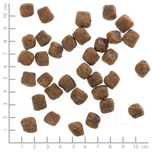 Warnicks Tierfutterservice Wolfsblut Black Bird mit Truthahn und Süßkartoffel SPARPACK 2x2 Kg
