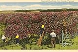 ART.COM Wall Art Print Cherry Picking, Door County, Wisconsin, 36' x 24'