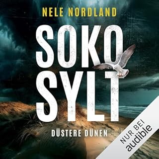 SOKO SYLT &ndash; D&uuml;stere D&uuml;nen Titelbild