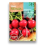 Semillas Rabanito Redondo Rojo Variedad Redondo Rojo Crimson Giant | Sobre 25 GR | Disfruta en tu huerto de los mejores rabanitos rojos | Rocalba
