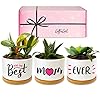 GIFTAGIRL Mothers Day or Birthday Gifts for Mom – Pretty Best Mom Ever Mothers Day Plants Pots are Beautiful Mothers Day…