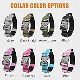 Taktisches Halsband Hund mit Griff, Hundehalsband Breit Gepolstert mit Metallschnalle, Verstellbar Nylon Dog Collar für Mittlere Große Hunde (Rot, L)