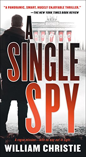 A Single Spy (English Edition)