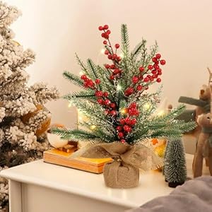 RECUTMS Tabletop Mini Christmas Tree Small Christmas Tree with Lights for Table Faux Miniature Xmas Trees with Red Berries Burlap Base Pine Branches Artificial Trees Indoor Home Decor Gifts RECUTMS Tabletop Mini Christmas Tree Small Christmas Tree with Lights for Table Faux Miniature Xmas Trees with Red Berries Burlap Base Pine Branches Artificial Trees Indoor Home Decor Gifts