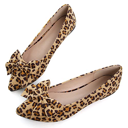 Image of Dear Time Women's Ballet Flats Dress Ballet Shoes Slip on for Office Work Comfortable Shoes