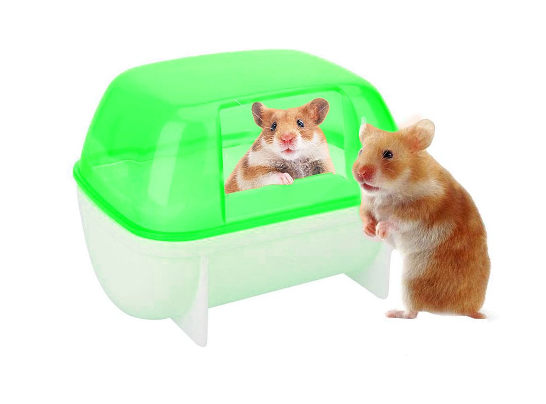 Sage Square Bath Sand Tub Cum Bathroom Cum Litter Tub for Hamster/Dwarf/Gerbil/Chinchilla/Mice (Green) (B079TJV6QT) Amazon Price History, Amazon Price Tracker