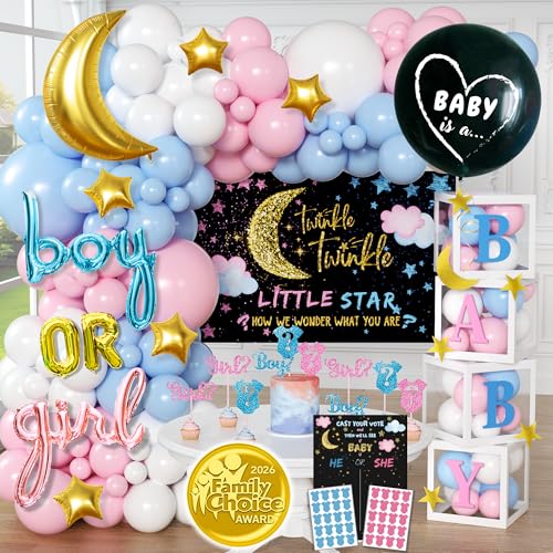191 Pc Twinkle Twinkle Little Star Gender Reveal Decorations Boy or Girl