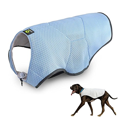 EQDOG 360-557 Chaleco Refrescante Cool Dog Azul, L
