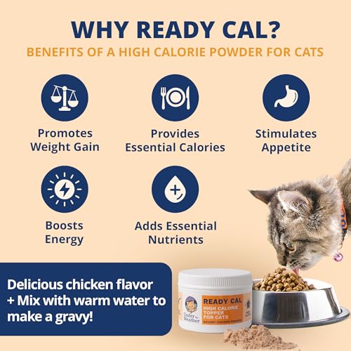 Image of Under the Weather Ready Cal Powder for Cats | High-Calorie Weight Gainer & Appetite Stimulant | Cat Energy Booster Veterinarian-Approved Pet Supplement with Vitamins & Minerals | Chicken Flavor