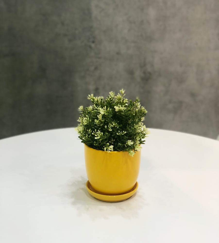 KOTARBAU® 2 x Maceteros con Plato de cerámica esmaltada, 13 cm, Maceta Amarilla, Tiesto Decorativo para Plantas, Maceta con Plato y Orificio de Drenaje, Reflejo Brillante, Macetas de Ceramica 2 UDS