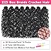 RuiYok 240 Strands Micro Box Braids Crochet Hair 18 Inch Curly ZiZi Box Braids Natural Black Micro Locs with Curly Ends 8 Packs Sister Locs Mini Locs Crochet Hair Braiding for Women #1B