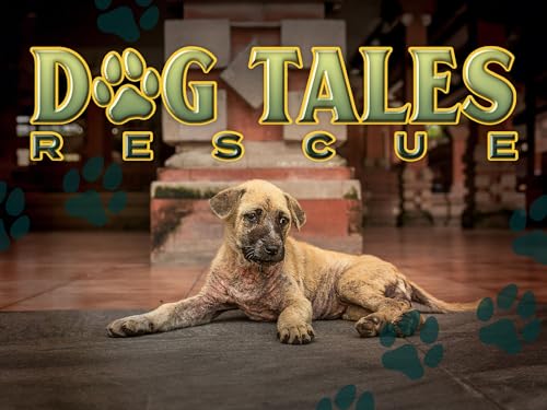Dog Tales Rescue