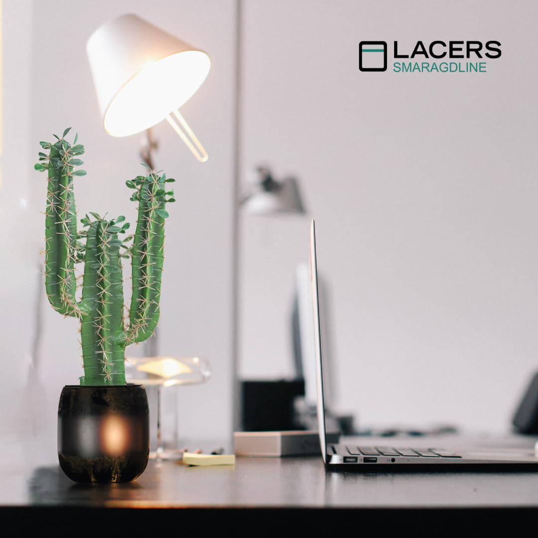 Lacers SMARAGDLINE Künstlicher Kaktus - 60cm - Pflanzen für Wohnungs & Bad Deko - Sukkulenten künstlich, Kunstpflanzen - Wohnzimmer, Büro & Hotel - Fensterbank Deko