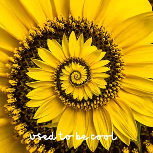 ep96 - Songs for Springtime cover art