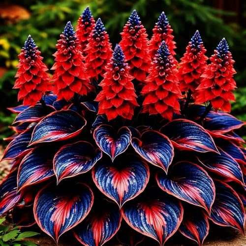 FERIWOY Hosta Bulb Soft Green Foliage Ideal for Shaded Garden Spaces (Color 4)
