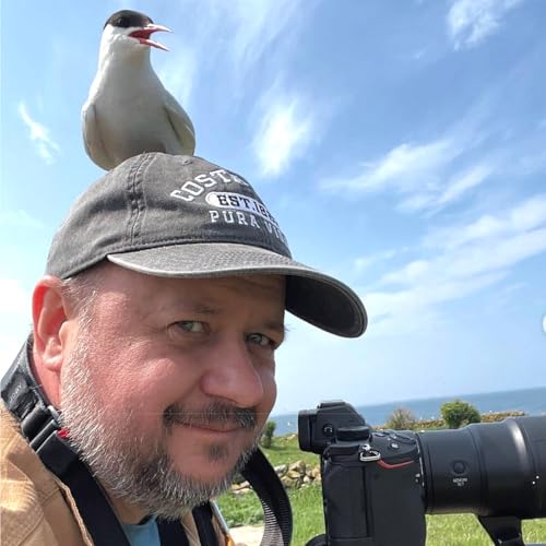 Considering Sparrows with Kevin Burrell