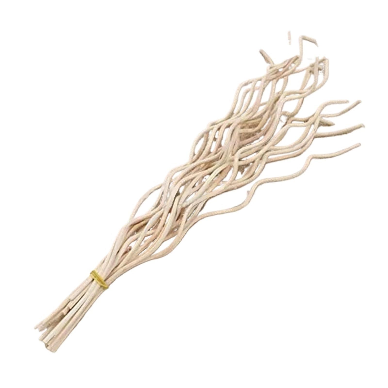 Zymjzbetic Rattan Reed Diffuser 20Pcs Diffuser Stick Rattan Wavy Reed Fragrance Refill Sticks Replacement for Office Home Decor(Beige)