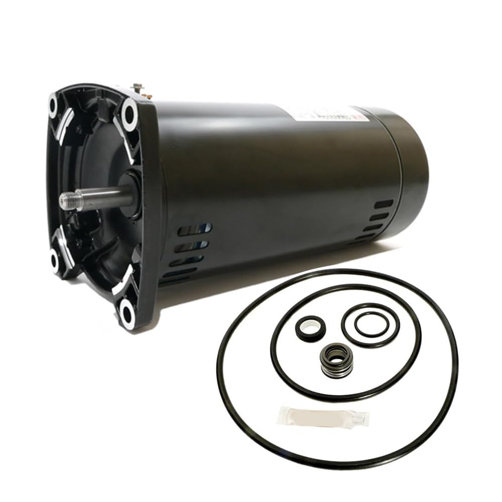 Puri Tech Replacement Motor Kit for Sta-Rite Dura-Glas 1HP P4RA6E-186L AO Smith USQ1102 with GO-KIT-38