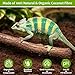 Riare 4 Pack Natural Coconut Fiber Substrate for Reptile- Premium Compressed Coconut Husk Terrarium Bedding for Reptile, Tortoise, Frogs, Snakes Hermit Crabs, Burrowing Animals